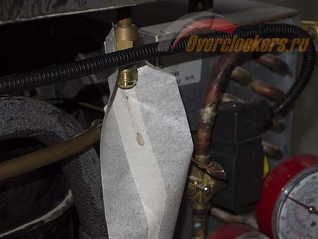 450x338  41 KB. Big one: 1500x1125  112 KB