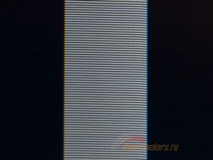 300x225  16 KB. Big one: 1500x1124  529 KB