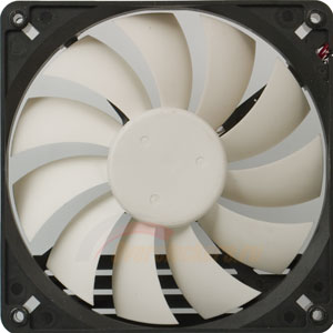 300x300  16 KB. Big one: 800x800  66 KB