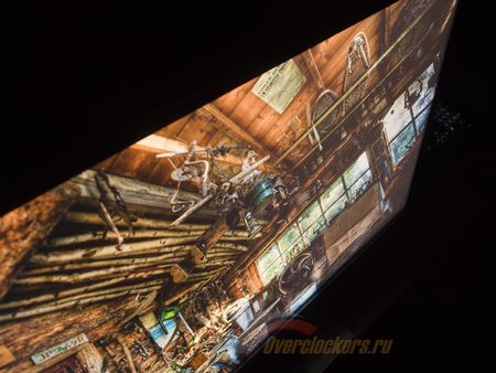 450x338  54 KB. Big one: 1500x1125  493 KB