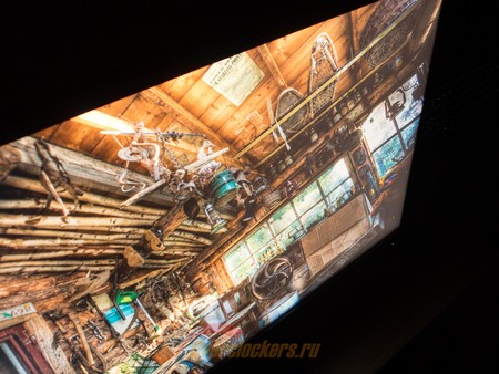 450x338  52 KB. Big one: 1500x1125  548 KB