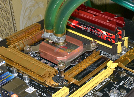 450x327  92 KB. Big one: 1500x1090  399 KB