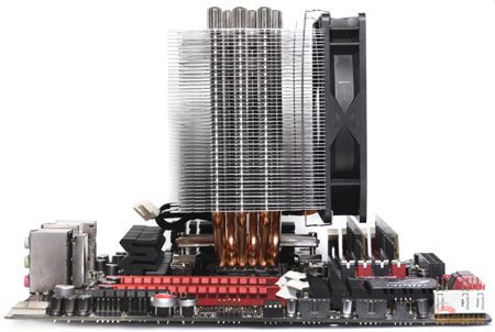 450x302  131 KB. Big one: 1500x1008  298 KB