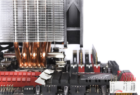 450x306  521 KB. Big one: 1500x1020  662 KB