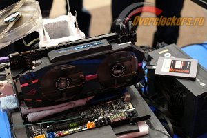 300x200  20 KB. Big one: 1500x1000  261 KB