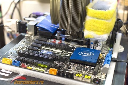 450x300  43 KB. Big one: 1500x1000  316 KB