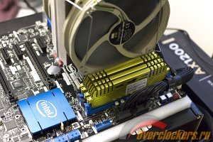 300x200  23 KB. Big one: 1500x1000  320 KB