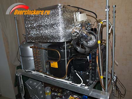 450x338  62 KB. Big one: 1500x1125  217 KB