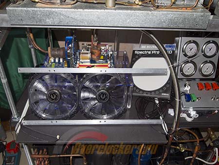 450x338  66 KB. Big one: 1500x1125  218 KB