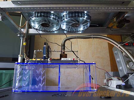 450x338  60 KB. Big one: 1500x1125  199 KB