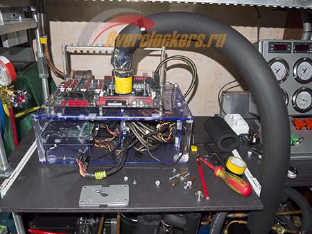 450x338  69 KB. Big one: 1500x1125  385 KB