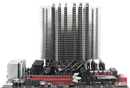 450x305  113 KB. Big one: 1500x1016  282 KB