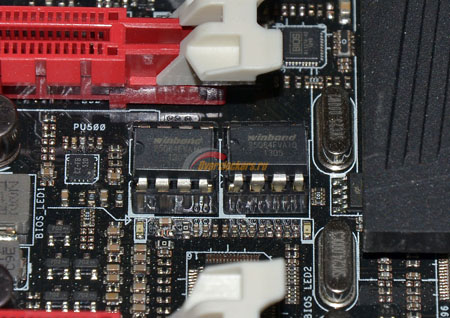 450x318  81 KB. Big one: 1500x1061  356 KB