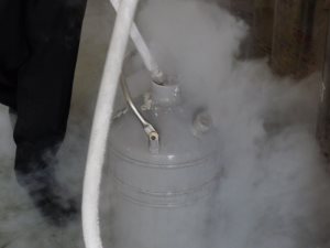 300x225  19 KB. Big one: 1000x750  71 KB