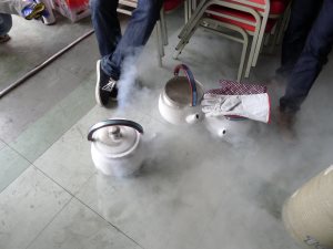 300x225  24 KB. Big one: 1000x750  108 KB