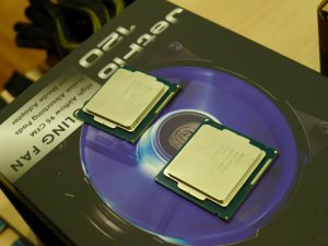 300x225  25 KB. Big one: 1000x750  99 KB