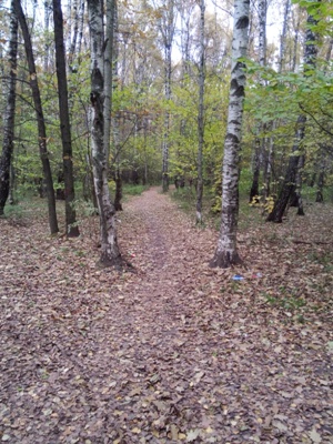 300x400  92 KB. Big one: 2448x3264  4388 KB