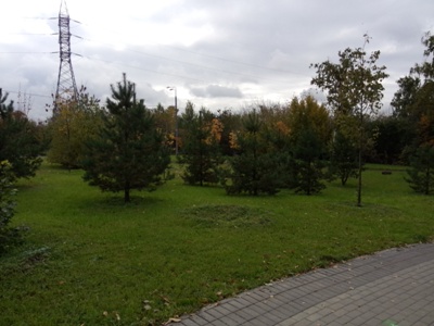 400x300  53 KB. Big one: 3264x2448  2245 KB