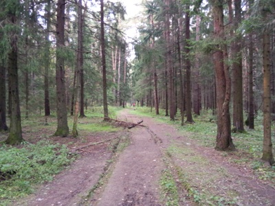 400x300  75 KB. Big one: 3264x2448  2985 KB