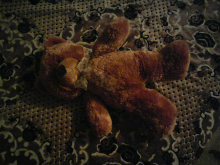 450x338  40 KB. Big one: 1500x1125  278 KB