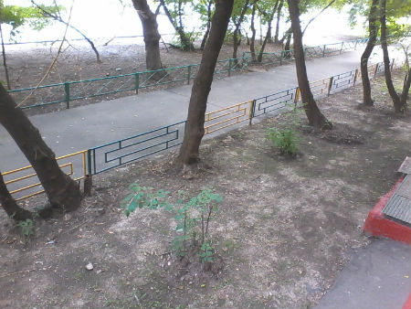 450x338  48 KB. Big one: 1500x1125  355 KB