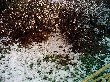 450x337  61 KB. Big one: 3264x2448  1428 KB