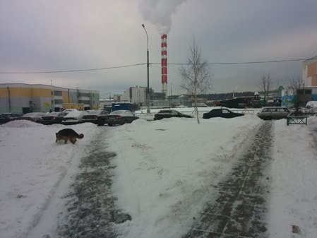 449x337  41 KB. Big one: 1499x1124  338 KB