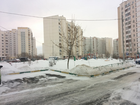 449x337  58 KB. Big one: 1499x1124  497 KB