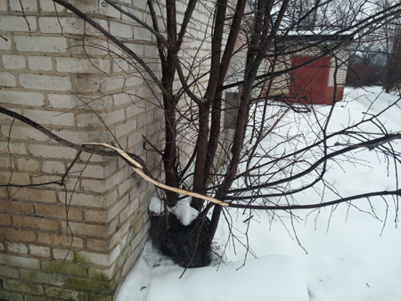 450x338  107 KB. Big one: 4160x3120  5207 KB