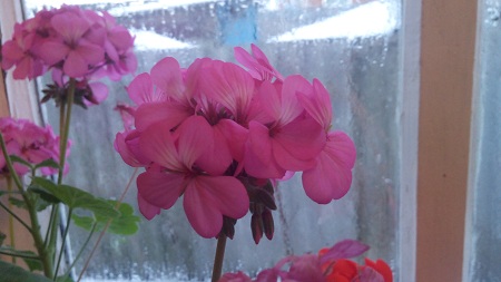 450x253  80 KB. Big one: 3584x2016  1986 KB