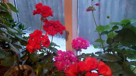 450x253  112 KB. Big one: 3584x2016  2691 KB