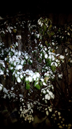 253x450  96 KB. Big one: 2016x3584  2125 KB