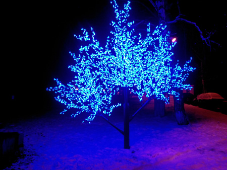 450x338  110 KB. Big one: 4096x3072  2922 KB