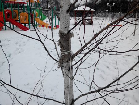 450x338  104 KB. Big one: 4096x3072  2897 KB