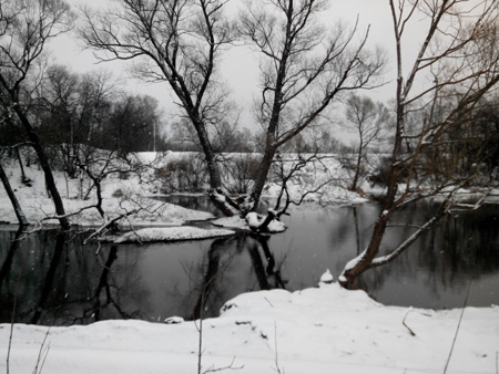 450x338  98 KB. Big one: 4096x3072  3242 KB