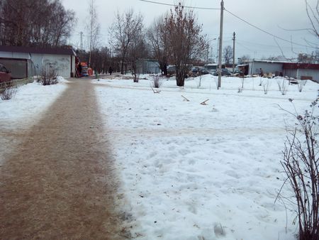 450x338  39 KB. Big one: 4096x3072  2168 KB