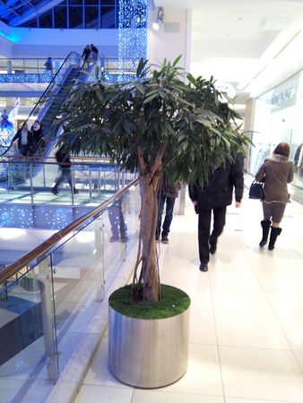 338x450  42 KB. Big one: 3072x4096  2189 KB