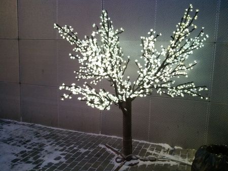 450x338  45 KB. Big one: 3264x2448  2859 KB