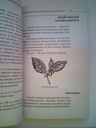 338x450  30 KB. Big one: 2448x3264  1828 KB