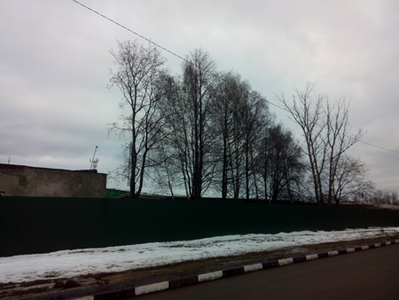 450x338  67 KB. Big one: 4928x3696  4116 KB