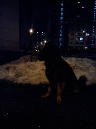 337x449  21 KB. Big one: 3072x4096  2406 KB