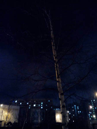 337x449  22 KB. Big one: 3072x4096  2794 KB