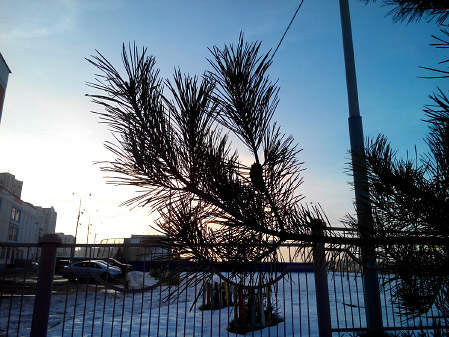 449x337  73 KB. Big one: 4096x3072  3616 KB