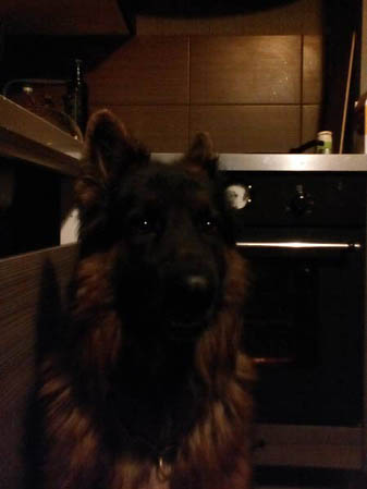 337x449  22 KB. Big one: 1124x1499  225 KB