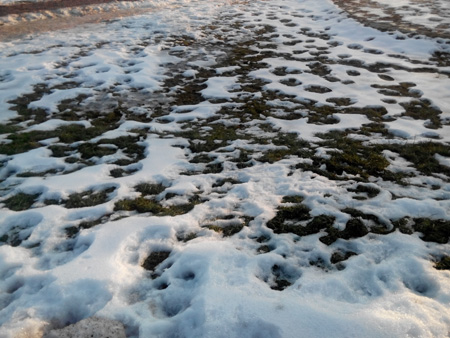 450x338  108 KB. Big one: 4096x3072  1602 KB