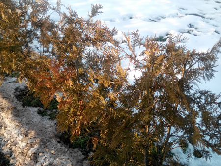 450x338  140 KB. Big one: 4096x3072  2322 KB