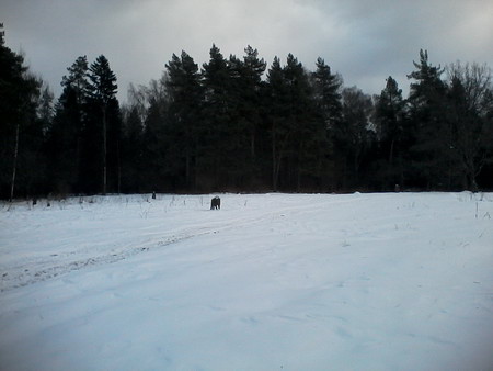 450x338  35 KB. Big one: 1600x1200  310 KB