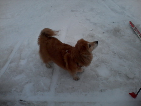 450x338  42 KB. Big one: 1600x1200  264 KB