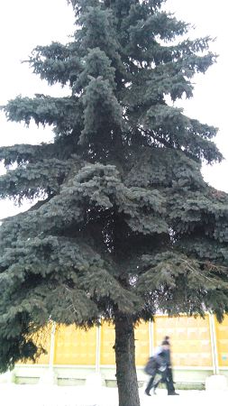 253x450  30 KB. Big one: 1872x3328  1061 KB