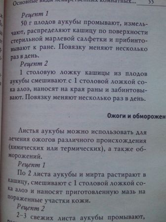 336x448  36 KB. Big one: 2448x3264  978 KB